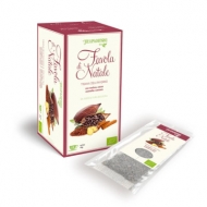 REGINA DI FIORI TISANA BIO PZ.15 FAVOLA DI NATALE